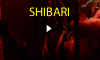 Shibari en BerlinDark Barcelona